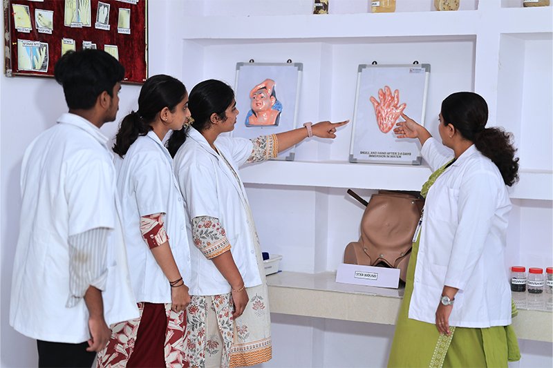 Medical Camps