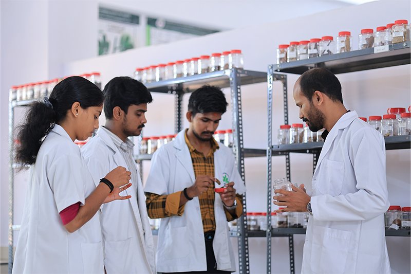 Medical Camps